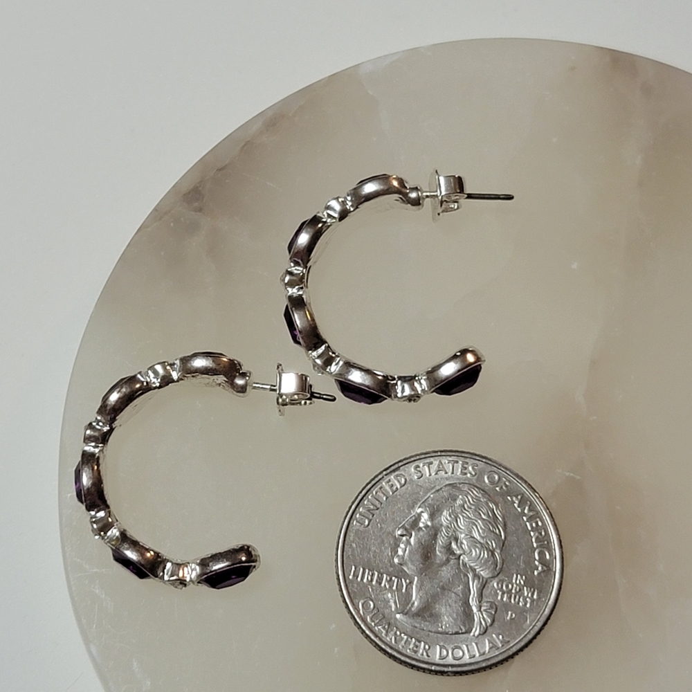 Avon Birthstone-Color Hoop Earrings February Amethyst Silver Tone Rhinestone - Picture 11 of 16